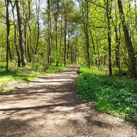 Inauen S Kiek In *