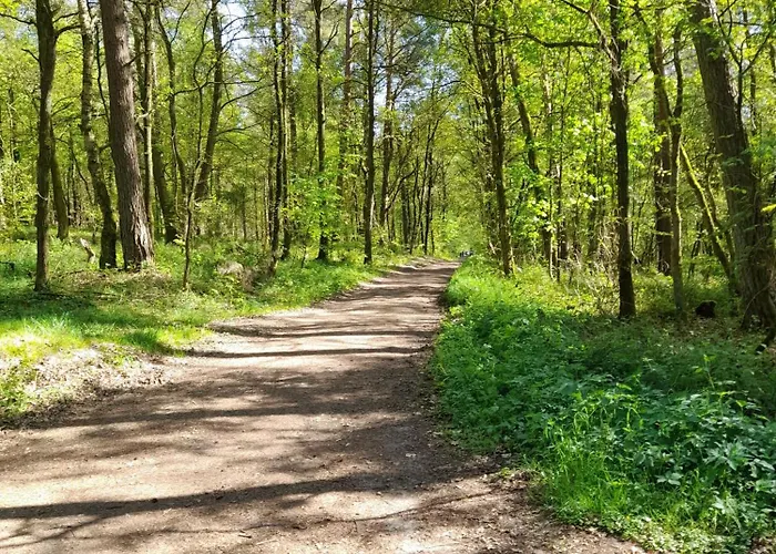 Inauen S Kiek In Buxtehude
